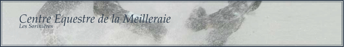 Centre Equestre de la Meilleraie 